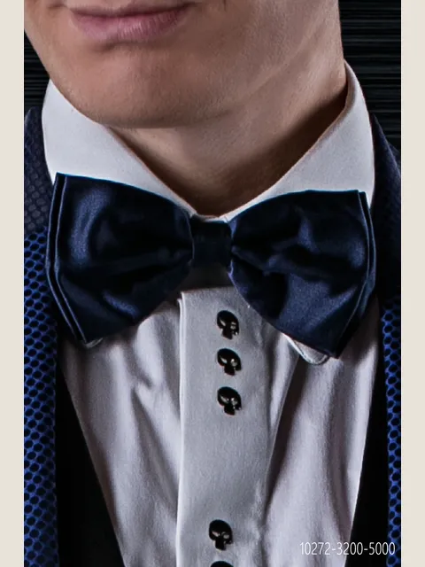 Bow tie in blue silk