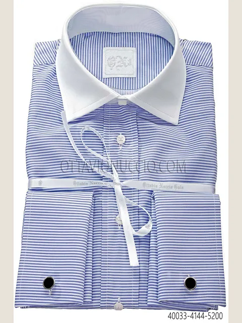 Blue Striped Cotton Shirt with Contrast Collar