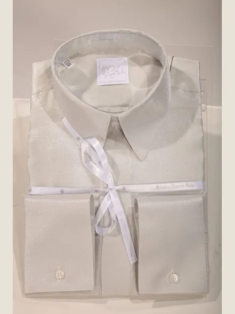 Pearl grey lurex shirt
