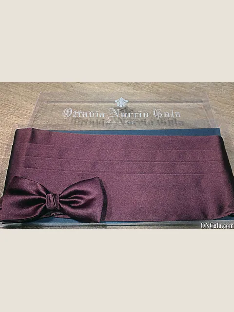 Red Polyester Cummerbund and Bow-Tie Set