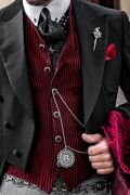 Veste Gothique Steampunk Homme Longue Queue De Pie - Costume Smoking Festif Cosplay Halloween